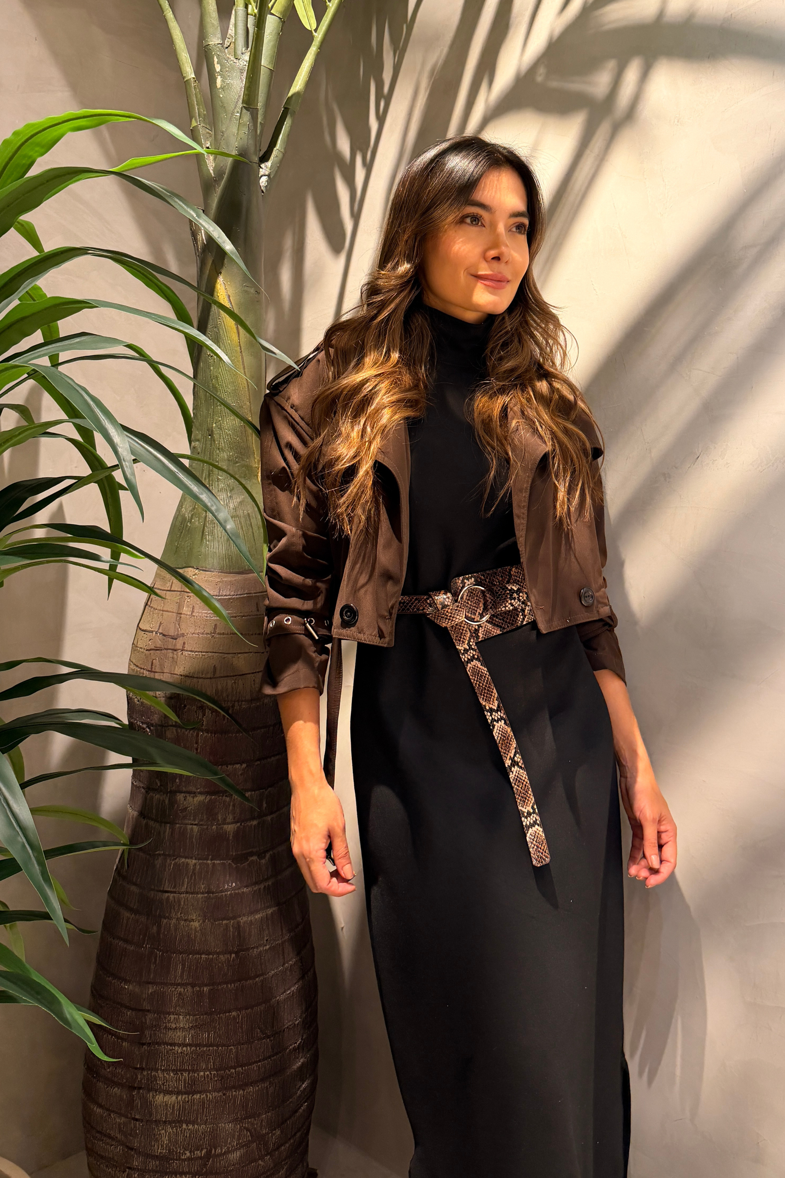 PTJ01073200017 correa con hebilla plateada con vestido negro